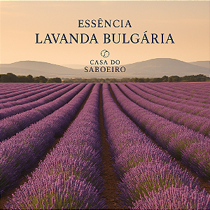 ESSENCIA LAVANDA BULGARIA