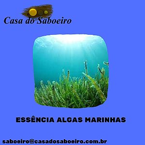 ESSENCIA ALGAS MARINHAS