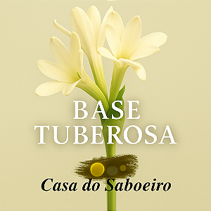 Base Tuberosa