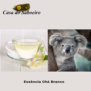 ESSENCIA CHÁ BRANCO COALA