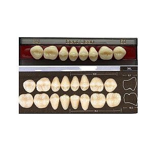 Dente Dent Clean Posterior 34L Superior - Imodonto