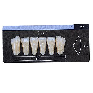 Dente Dent Clean Anterior 2P Inferior - Imodonto