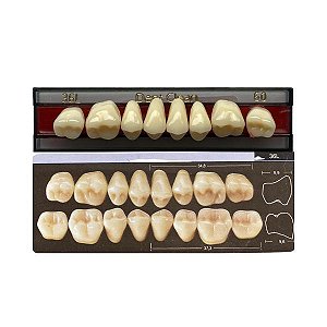 Dente Dent Clean Posterior 36L Superior - Imodonto