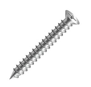 Parafuso Madeira 2.5x12mm Phillips Chata - 100 Unidades