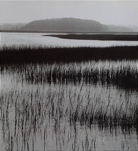 Gravura Nut Island Massachusetts 17,5 x 17,5 cm