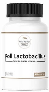 Pool Lactobacillus 60 Cápsulas