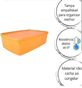 Tupperware Caixa Ideal Mango 1,4 litro