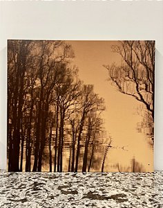 Quadro em Tela Floresta Amarela 70x56 - Online Quadros (Apartamento Decorado)