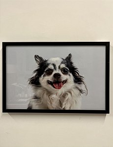 Quadro Cachorro Vira Lata 51x34 - Artesanal (Apartamento Decorado)