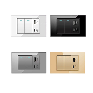 Interruptor 2 Teclas com Entrada USB e Tipo C Acabamento Premium Vidro Temperado 4x2