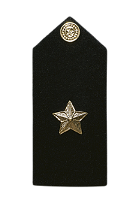PLATINA ASPIRANTE POLÍCIA MILITAR