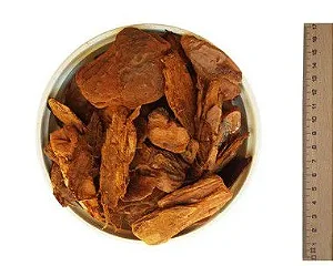 Casca de Pinus Semi-Polida - 40 litros