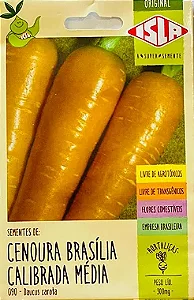 Cenoura Brasília Calibrada Média