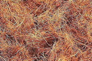 Fibra de Coco - 50 litros