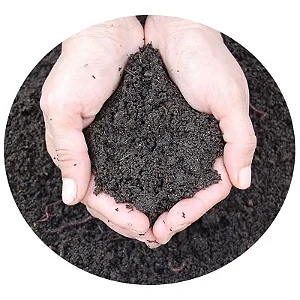 Húmus de Minhoca - 10 kg