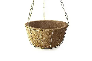 Kit Cuia Nutricoco Médio - 24 cm