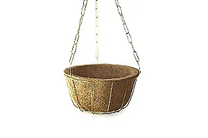 Kit Cuia Nutricoco Pequeno - 19 cm
