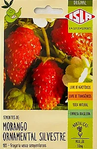 Morango Ornamental Silvestre