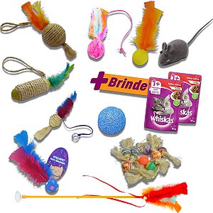 Kit 10 Brinquedos Arranhador Chocalho Ratinho para Gatos - Stillo Pet