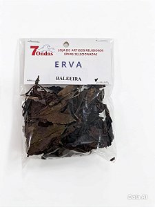 Erva Baleeira para Banhos Espirituais, Harmonização e Renovação Energética