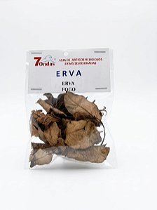 Erva Fogo para Banhos Espirituais, Proteção e Fortalecimento Energético