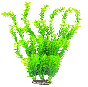 Planta Verde BBB Pet Aquarium 40cm Mod.7