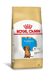 Ração Seca Royal Canin Puppy Dachshund 2,5kg