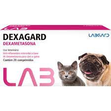 Anti-inflamatório Labgard Dexagard 20 Comprimidos