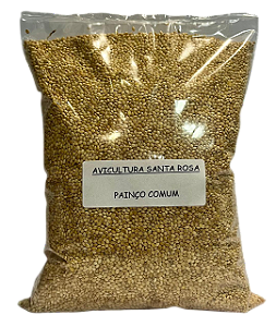 Painço Amarelo Comum