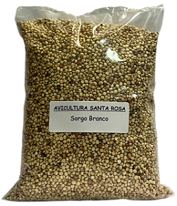 Sorgo Branco