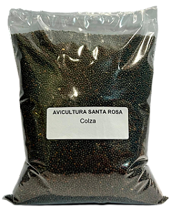 Colza