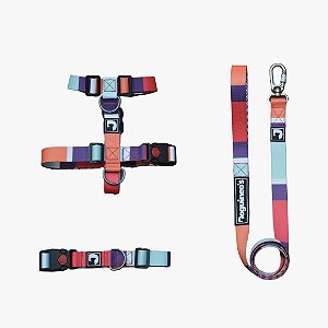 Kit Peitoral H antipuxão + Guia + Coleira para cães - Loop