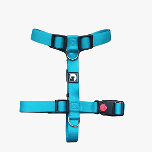 Peitoral H + Guia para cães - Turquesa