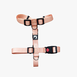 Peitoral H + Guia para cães - Laranja light