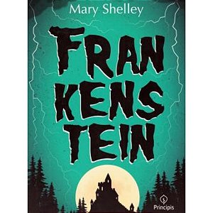 Frankenstein Mary Shelley Principis