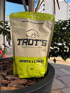 Erva Trots Tererê Sabor Menta e Limão