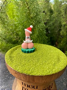 Enfeite Pinto de Natal