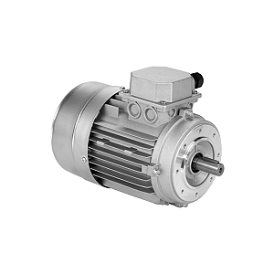 Motor Trifásico - IBR MS