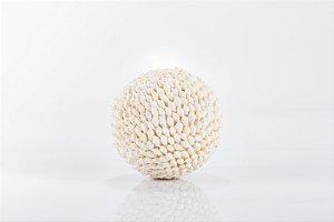 BOLA COM CONCHAS PALAY PALAY BRANCA 14