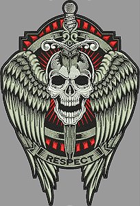 Patch Caveira com Asa 33x26 cm