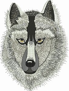 Patch Lobo Costas 27x25 cm