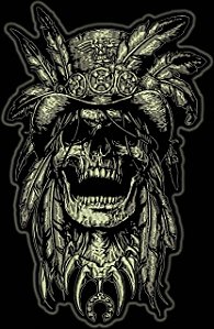 Patch Caveira Indio