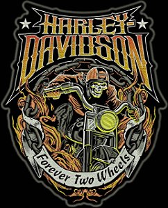 Patch Moto Caveira HD