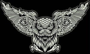 Patch Coruja