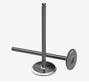VALVULA ESCAPE FAZER 250/LANDER/TENERE/XT 225/TTR 230