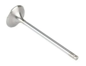 VALVULA ESCAPE BIZ 100/WEB 100