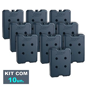 Kit 10 unidades Gelo Reutilizável Rigido 1 Litro 1050ml Clio Gel