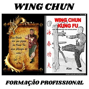 Segundo estagio do Wing Chun Kung Fu Família Kim