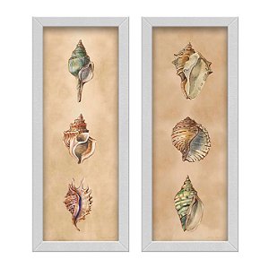 Kit 2 Quadros Lavabo Colorido Vintage Mar Sala Bege Conchas
