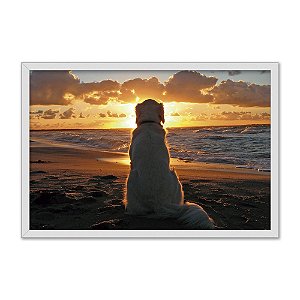 Quadro Decorativo Cachorro Na Praia Ao Nascer Do Sol